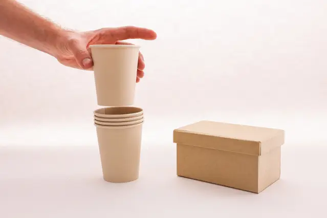 Improving Tape Placement on Disposable Cup and Cutlery Cartons with a Multi-Head Double-Sided Tape Pasting Machine